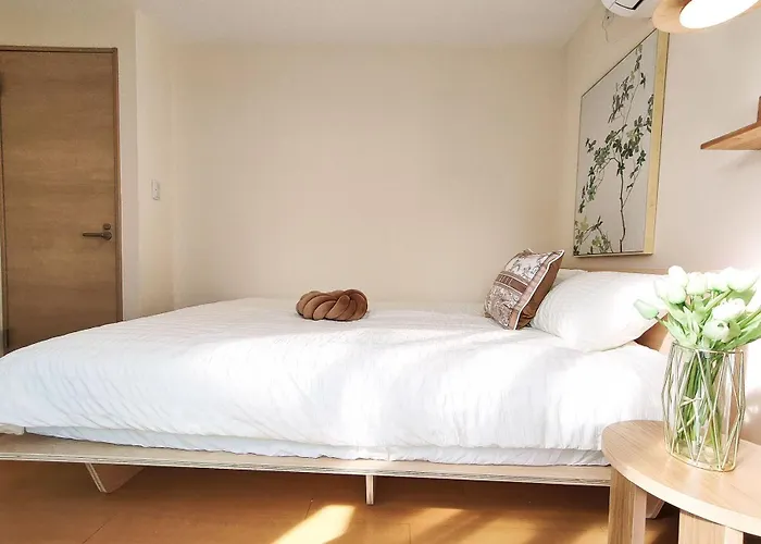 41池袋最中心 两室一厅 池袋站10分 2 Rooms Ikebukuro Center 10 Mins To St Max 5P 直达新宿 涉谷 表参道 池袋 上野 代代木 银座 原宿
